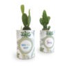 Cannette graines ou plantes personnalisable_1