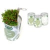 Cannette graines ou plantes personnalisable_2