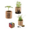 Graines a planter pot liege