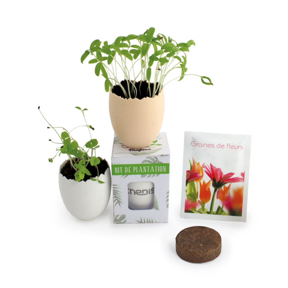 Kit de plantation, pot œuf – Compléments d'image