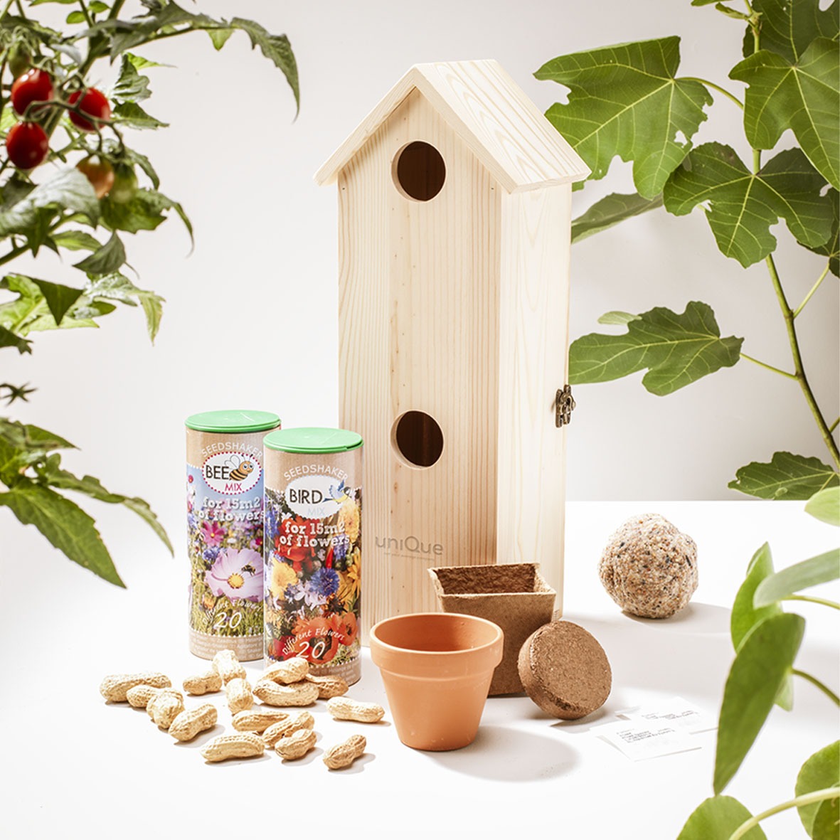 Coffret bois bouteille vin-maison oiseaux personnalise-3