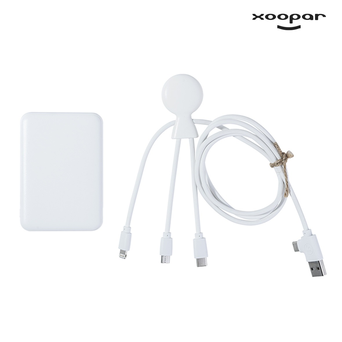 batterie chargeur et cables eco xoopar personnalise-2