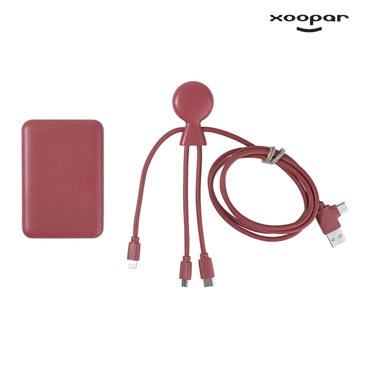 batterie chargeur et cables eco xoopar personnalise-4