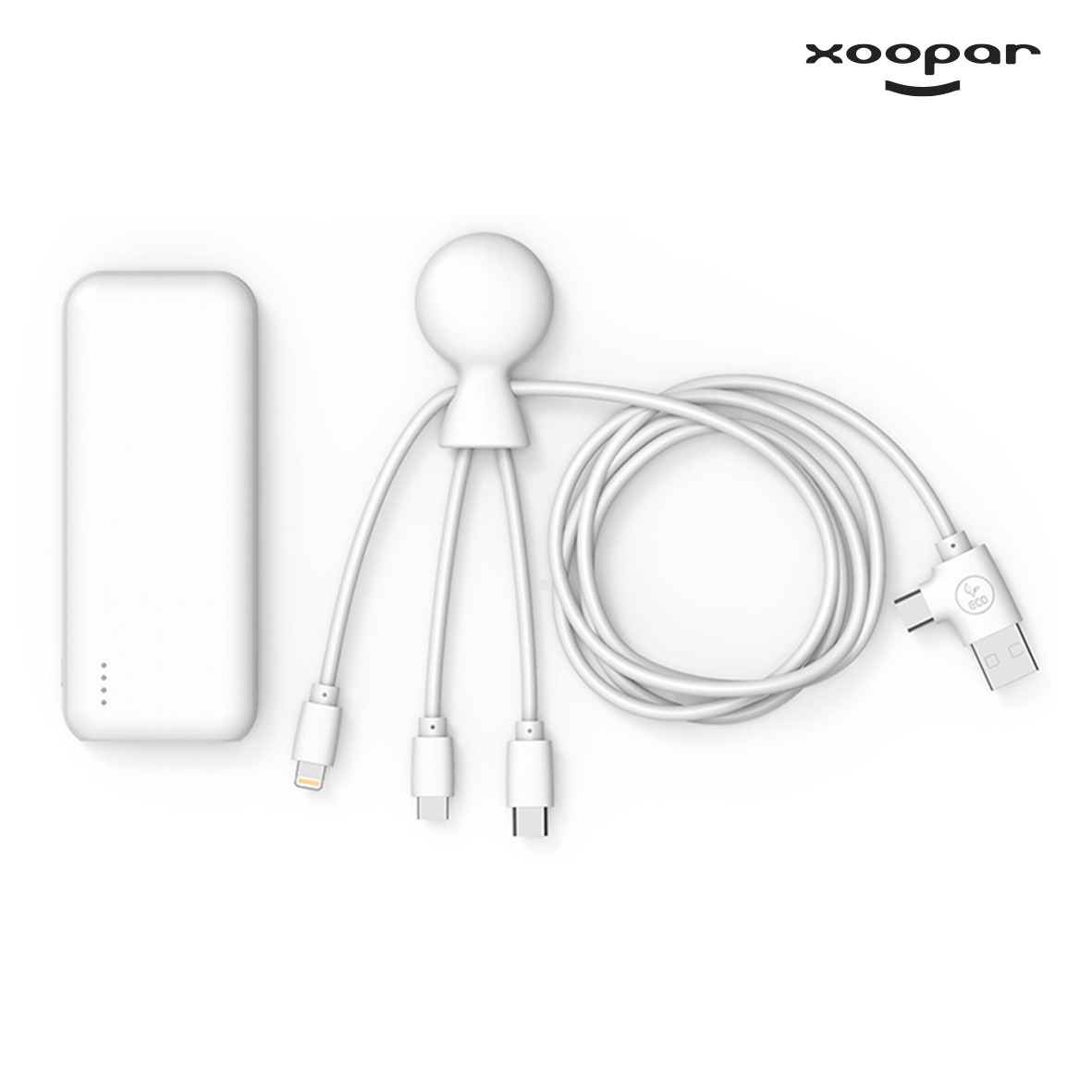 batterie chargeur et cables hepta eco xoopar personnalise-1
